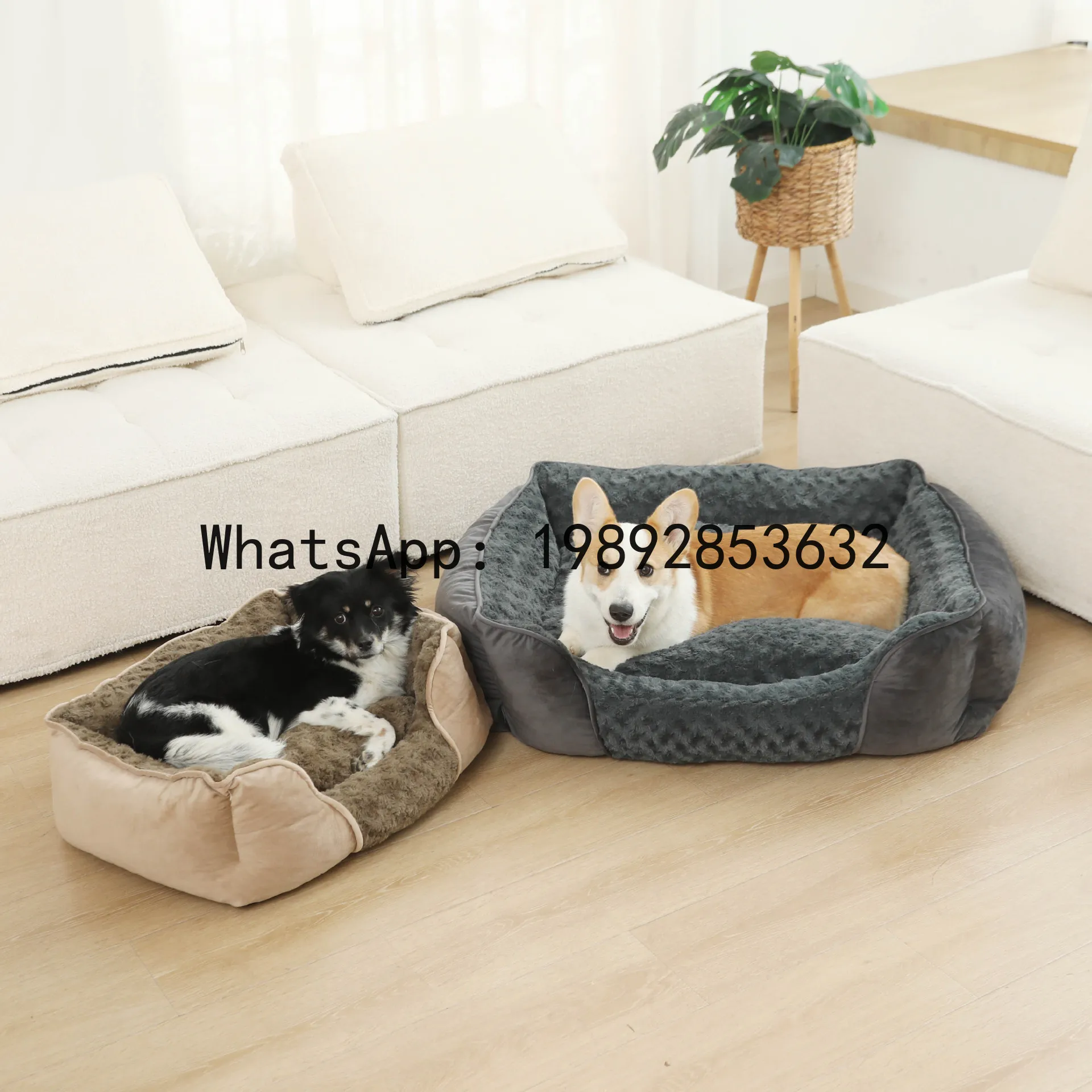 X cat house semi-enclosed dog  - огляд і ціна Pet X Supplies & Tack Photos