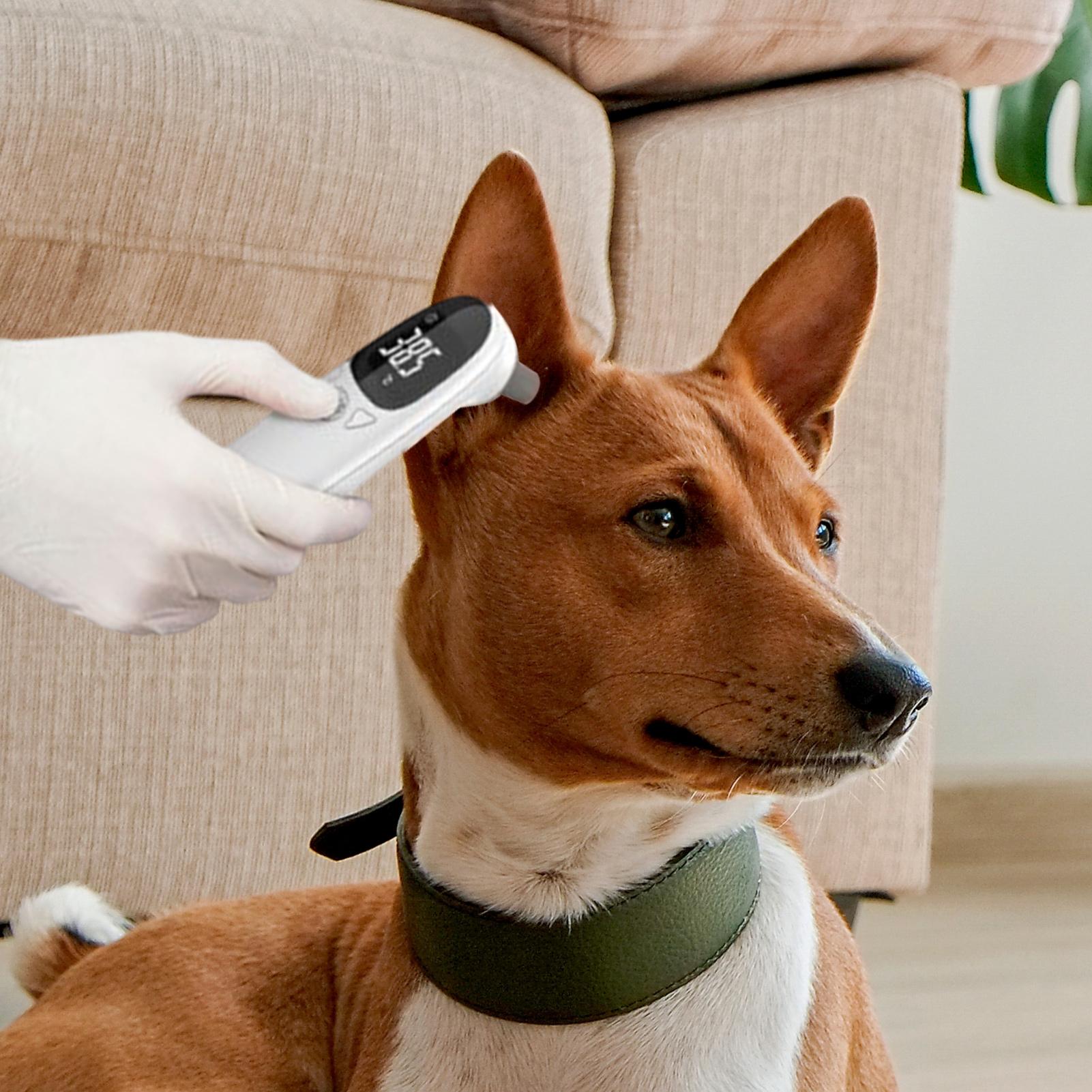 Dog Cat Ear Thermometer Medica - огляд і ціна Pet Supplies Vet