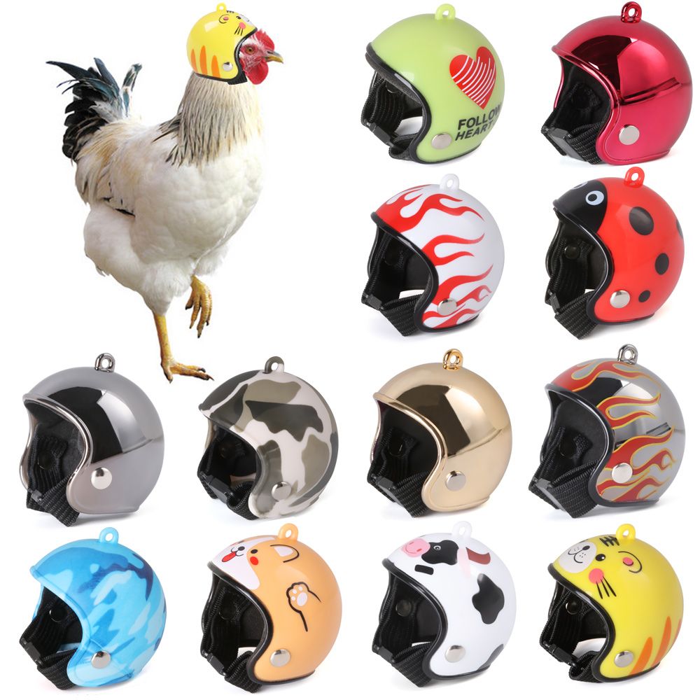 ABS Pet Supplies Funny Pet Pro - огляд і ціна Pet X Supplies & Tack Photos