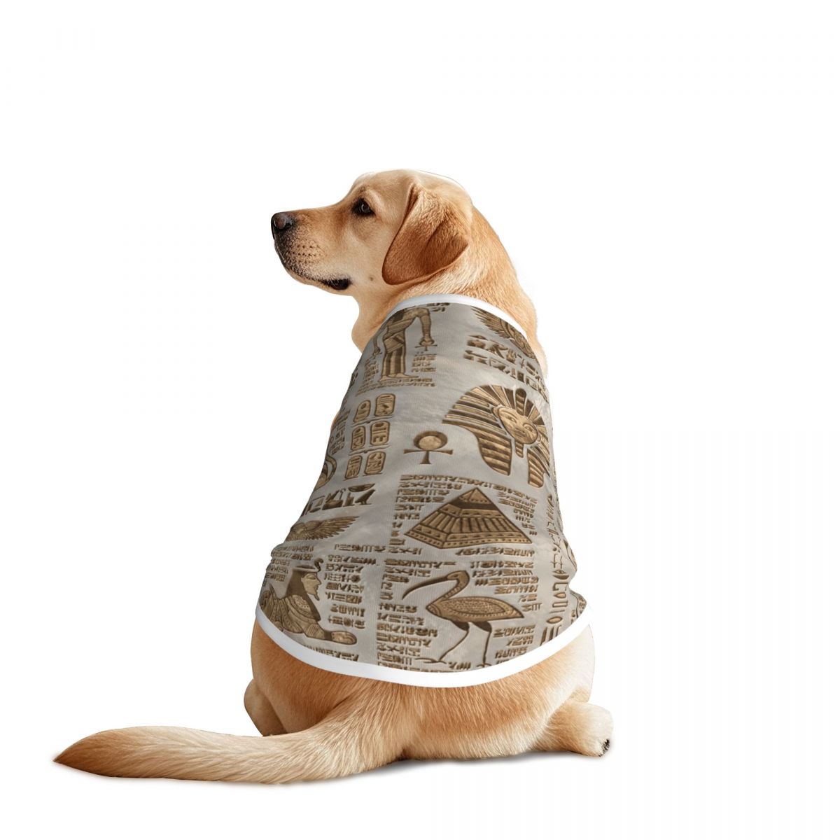 Egyptian Hieroglyphs And Deiti - огляд і ціна Pet Supplies Egypt
