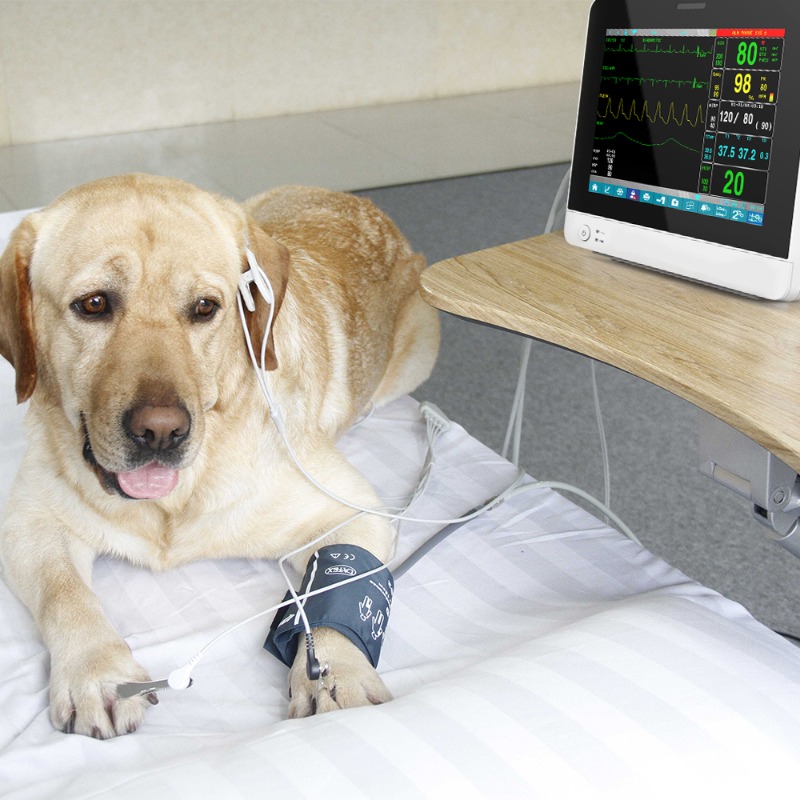 Veterinary Pet Touch Screen Po - огляд і ціна Pet Supplies Vet