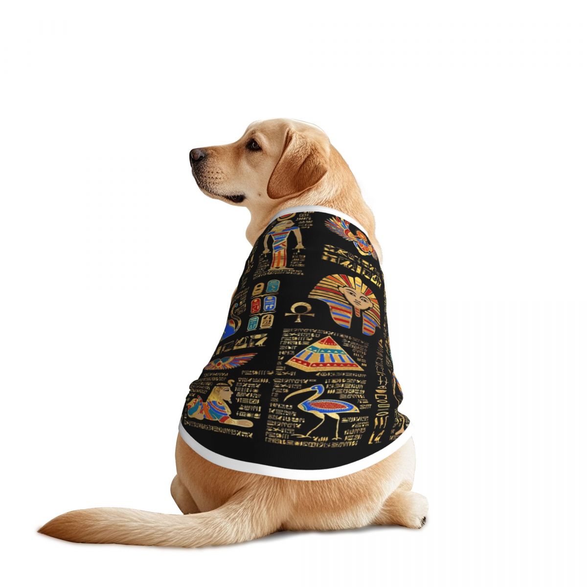Egyptian Hieroglyphs And Deiti - огляд і ціна Pet Supplies Egypt